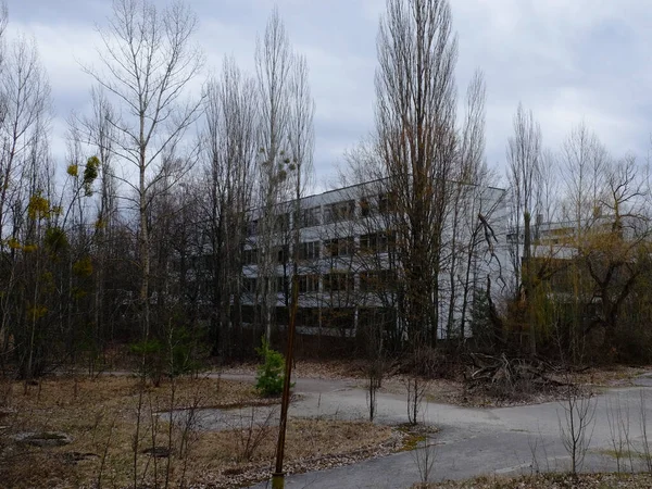 Casas Abandonadas Pripyat Entre Árvores Edifícios Residenciais Abandonados Área Contaminação — Fotografia de Stock