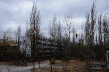 Pripyat 'ta ağaçların arasında terk edilmiş evler. Radyasyon kirliliği alanında terk edilmiş binalar..