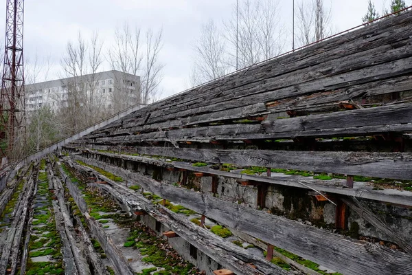 Pripyat 'ta terk edilmiş bir stadyumun tribünleri. Stadyumdaki eski ahşap banklar.