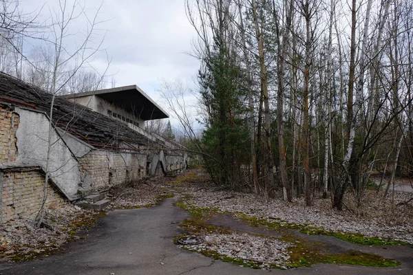 Ein Verlassenes Fußballstadion Pripjat Überwuchert Von Bäumen Ruinen Des Stadions — Stockfoto
