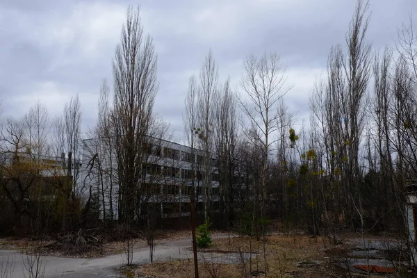 피아트의 버려진 집들이 나무들 사이에 있습니다 방사능 지역에 버려진 건물들 — 스톡 사진