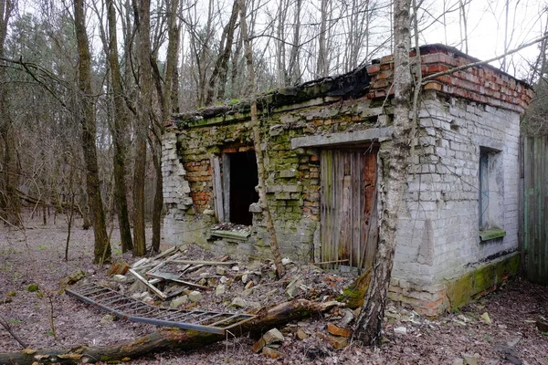 Edificio Ladrillo Ruinas Entre Los Árboles Noche Nublada Otoño Casa — Foto de Stock