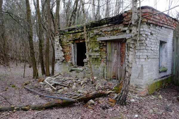 Edifício Tijolos Ruínas Entre Árvores Noite Outono Nublado Casa Abandonada — Fotografia de Stock