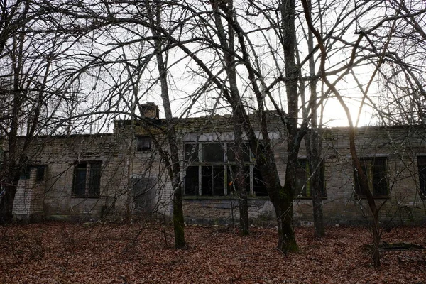 Edifícios Tijolos Abandonados Entre Árvores Zona Contaminação Por Radiações Chernobil — Fotografia de Stock