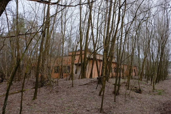 Edifícios Tijolos Abandonados Entre Árvores Zona Contaminação Por Radiações Chernobil — Fotografia de Stock