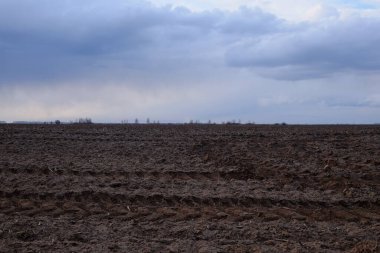 Çiftlik tarlasının üzerinde bulutlu bir akşam gökyüzü. Peyzaj.