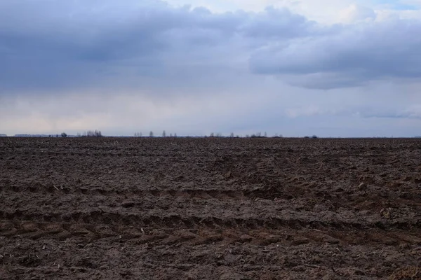 Çiftlik tarlasının üzerinde bulutlu bir akşam gökyüzü. Peyzaj.