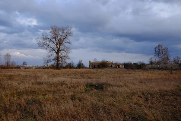 Een Somber Avondlandschap Een Hoge Bladloze Boom Buurt Van Een — Stockfoto