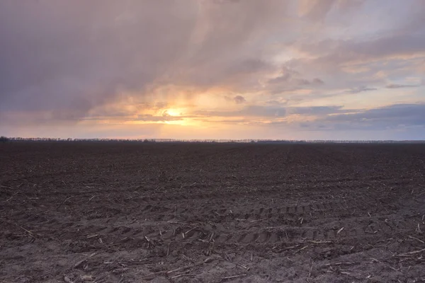 Solnedgång Över Ett Plogat Jordbruksfält Dramatisk Himmel Kvällen — Stockfoto