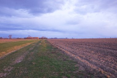 Tarlaların üzerinde bulutlu bir gökyüzü. Batan güneş toprağa pembe bir renk verdi. Tarım arazisi.