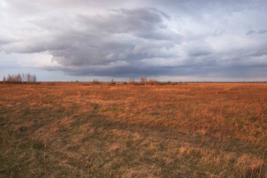 Sonbahar bozkırında bulutlu ve dramatik bir gökyüzü. Parlak kuru otlar..