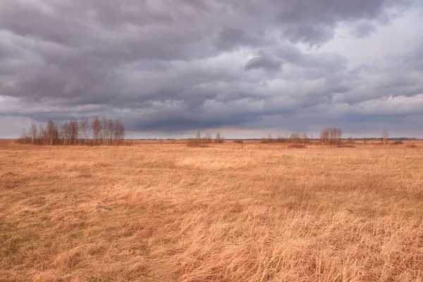 Nublado Cielo Dramático Sobre Estepa Otoño Hierbas Secas Brillantes Del —  Fotos de Stock