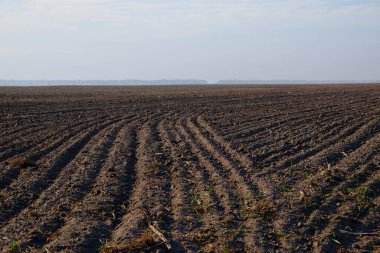 Yeni sürülmüş bir çiftlik arazisi. Tarım arazisi. Peyzaj.