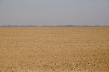 Tarım tarlalarının üzerinde bulutlu gri gökyüzü. Çamur. Peyzaj.
