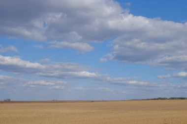 Tarlaya sürülmüş bir tarla. Bir tarlanın üzerinde mavi gökyüzü.