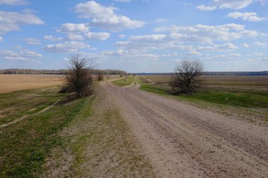 Tarlalar arasında geniş toprak yol. Yol kenarında bir ağaç. Peyzaj.