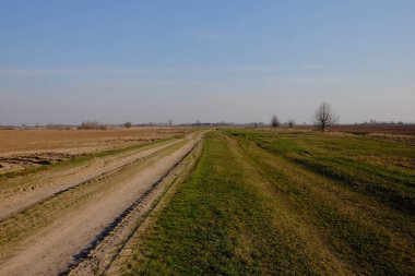 Akşam tarlasında dar bir toprak yol. Açık mavi gökyüzü tarlanın üzerinde.