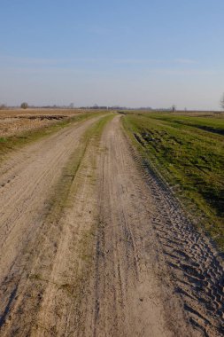Akşam tarlasında dar bir toprak yol. Açık mavi gökyüzü tarlanın üzerinde.