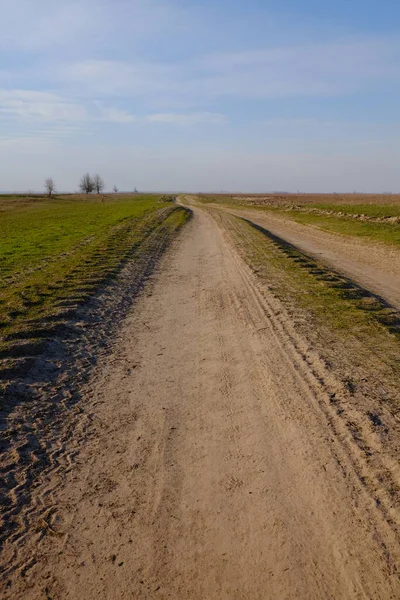 Akşam tarlasında dar bir toprak yol. Açık mavi gökyüzü tarlanın üzerinde.