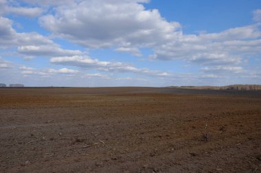 Tarlaya sürülmüş bir tarla. Bir tarlanın üzerinde mavi gökyüzü.