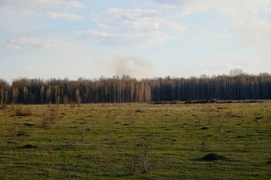 Bir tarlanın üzerindeki bulutlu gökyüzü. Uzakta küçük bir orman.