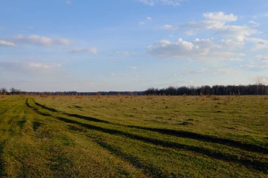 Akşamları çim tarlasındaki yol. Tarlanın üzerindeki bulutlu gökyüzü.