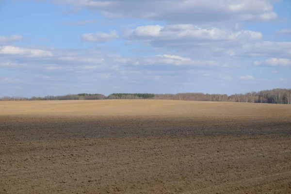 Tarlaya sürülmüş bir tarla. Bir tarlanın üzerinde mavi gökyüzü.