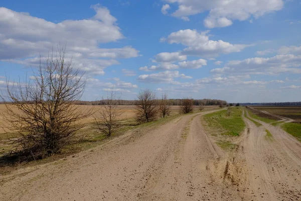 Tarlalar arasında geniş toprak yol. Yol kenarında bir ağaç. Peyzaj.