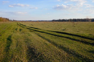 Akşamları çim tarlasındaki yol. Tarlanın üzerindeki bulutlu gökyüzü.