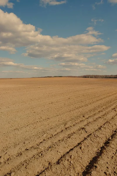 Ein Gepflügtes Landwirtschaftliches Feld Blauer Himmel Über Einem Feld — Stockfoto