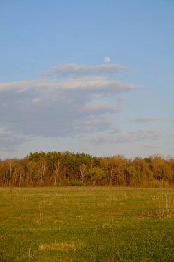 Güzel bir sonbahar ormanı üzerinde bulutlu bir akşam gökyüzü. Peyzaj.