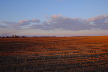 Boş bir tarla üzerinde bulutlu bir akşam gökyüzü. Parlak gün batımı manzarası.
