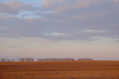 Boş bir tarla üzerinde bulutlu bir akşam gökyüzü. Parlak gün batımı manzarası.