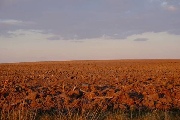 Ciel Nuageux Soirée Sur Champ Agricole Vide Paysage Lumineux Coucher — Photo