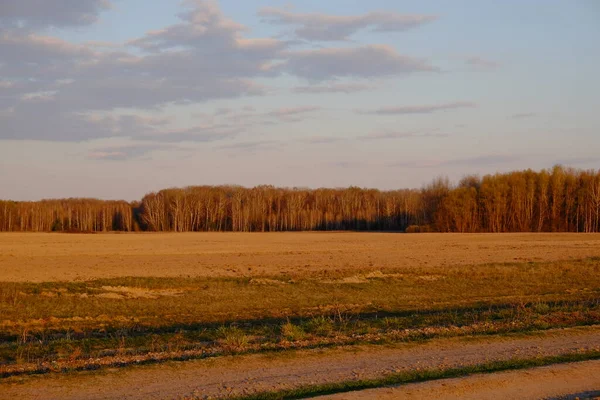 Molnigt Kvällshimmel Över Skogen Fält — Stockfoto