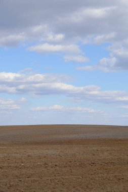 Tarlaya sürülmüş bir tarla. Bir tarlanın üzerinde mavi gökyüzü.