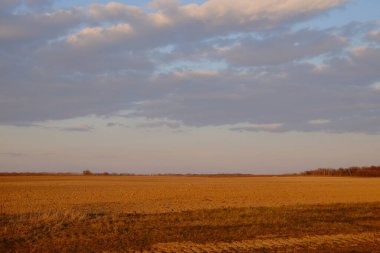 Boş bir tarla üzerinde bulutlu bir akşam gökyüzü. Parlak gün batımı manzarası.