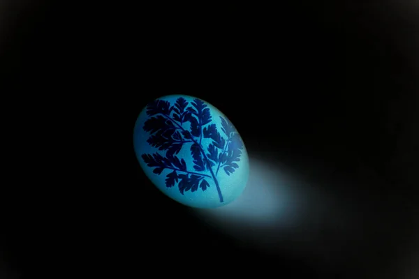 Пасхальное Яйцо Голубого Цвета Черном Фоне Цветочный Узор Светящемся Яйце — стоковое фото