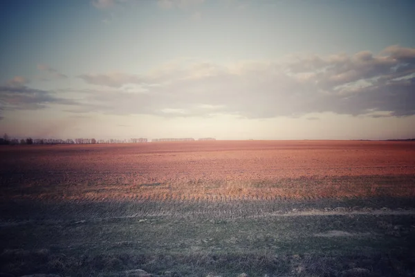 Sunset Sky Agricultural Plain Farmer Fields Evening Plain Landscape — Stock Photo, Image