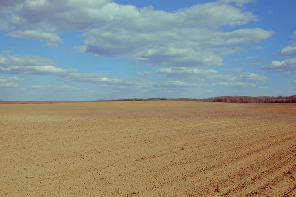 Ett Plogat Jordbruksfält Blå Himmel Över Ett Åkerfält — Stockfoto