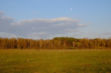 Güzel bir sonbahar ormanı üzerinde bulutlu bir akşam gökyüzü. Peyzaj.