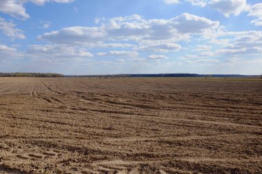 Tarlaya sürülmüş bir tarla. Bir tarlanın üzerinde mavi gökyüzü.