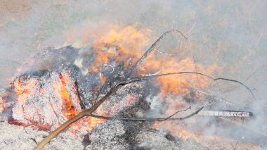 Açık havada büyük bir şenlik ateşi. Yanmış tahta ve dallardan bir kül yığını. Sıcak alev.