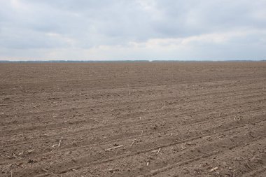 Tarlaya sürülmüş bir tarlanın üzerindeki güzel gökyüzü. Tarım endüstrisi manzarası. Tarlaya sürülmüş bir çiftlik. Gündüz ekili toprak.