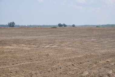 Tarlaya sürülmüş bir tarlanın üzerindeki güzel gökyüzü. Tarım endüstrisi manzarası. Tarlaya sürülmüş bir çiftlik. Gündüz ekili toprak.