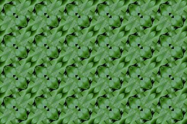 Ambalaj kağıdı, duvar kağıdı, tekstil ve yüzey tasarımı için eşsiz bir arkaplan. Yaratıcı, kusursuz desen. Kolaj.