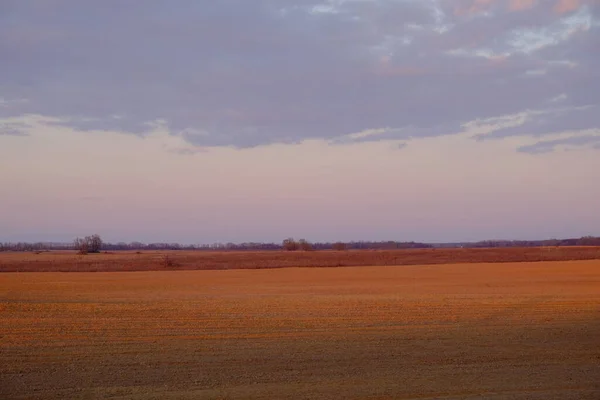 Bewolkte Avondlucht Boven Een Leeg Landbouwveld Helder Zonsondergang Landschap — Stockfoto