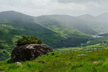 İrlanda 'nın Kerry ilçesindeki Dunloe Geçidi' nde çalılar ve ağaçlarla kaplı bir kaya parçası var. Etrafı yeşil tepelerle çevrili..