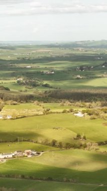 Aerial view of rolling green fields and forests in Ireland on a sunny day.