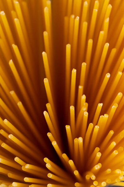 a bouquet of spaghetti on a dark background near